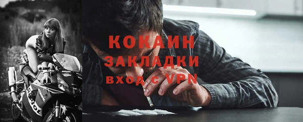 ГАЛЛЮЦИНОГЕННЫЕ ГРИБЫ Михайлов
